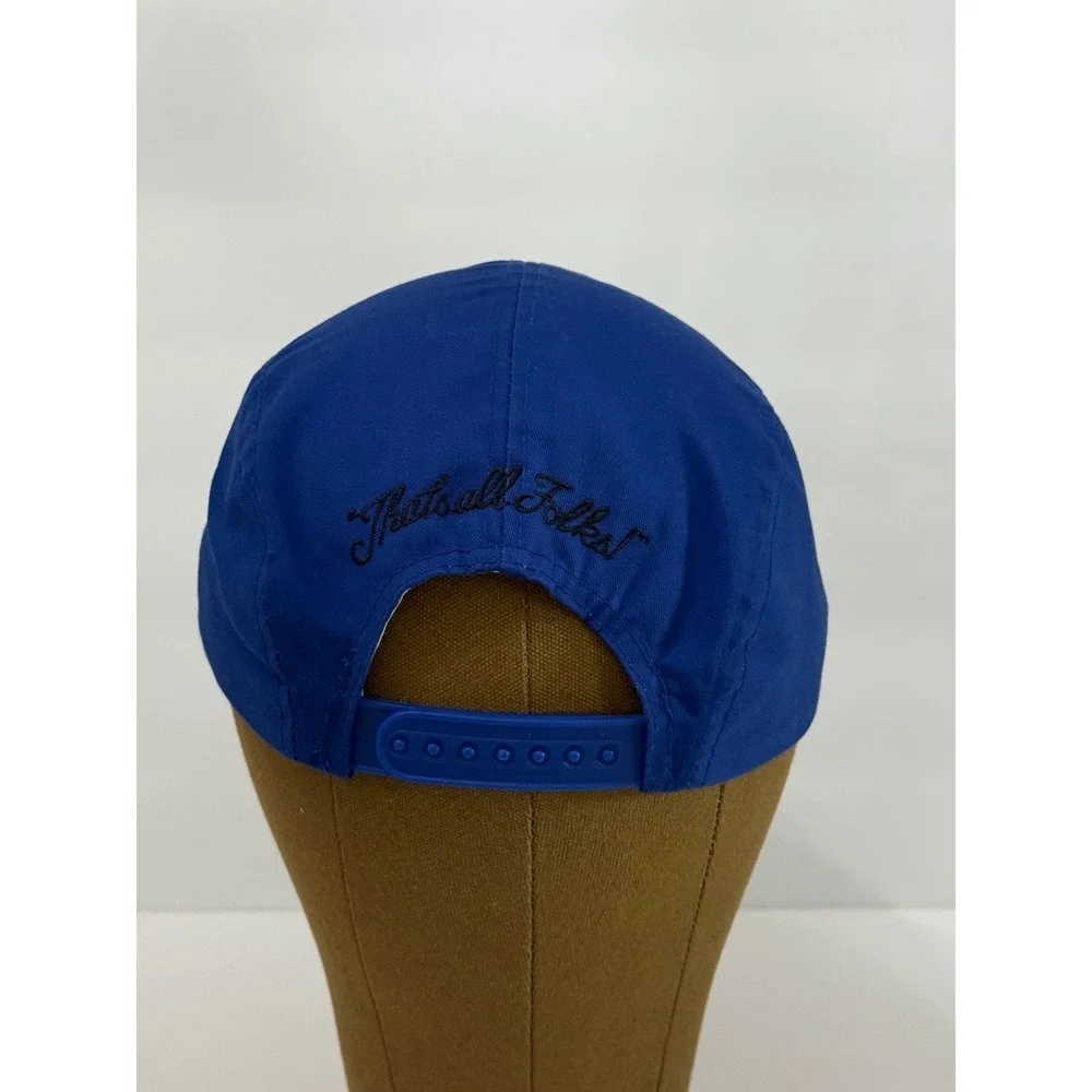 VTG Looney  Tunes Hat Cap Sylvester Tweety Blue Black Color-block  1993 SnapBack